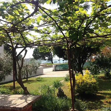 Vitalio Gasthuis Umag
