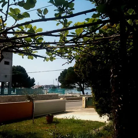 Guest house Vitalio 3*