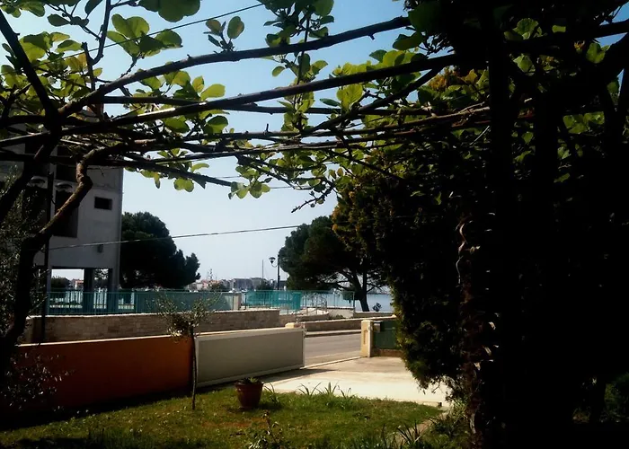 게스트하우스 Vitalio 3*